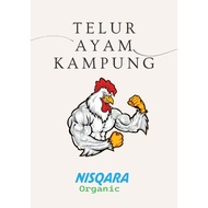 Nisqara Organic: telur ayam kampung 10 biji