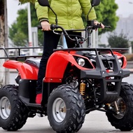 [READY STOCK] Custom 125cc Bulls ATV 7-inch 4wheeled off-road motorcycle bike