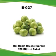 Biji Benih Brussel Sprouts (Paket Besar) / Brussels Sprout Seeds (Large Pack) / 孢子甘蓝种子 (大包装)