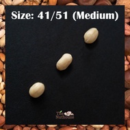 1kg Kacang Tanah Kupas / Blanched Peanut Kernel Size 41/51 (Sedang)