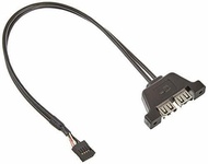 ASRock Deskmini X300 2 Port USB 2.0 Kit
