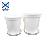 MIT Asia Flower Pot White With Tray - Home Gardening Tools