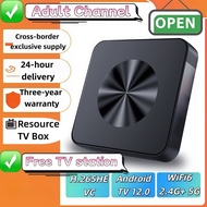 Premium Android TV Box with Adult Channel, Free TV Stations, WiFi6, H.265HE VC, 24H Delivery, 3-Year