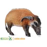 CollectA 88554 - Red River Hog