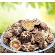 [全城最狂最便宜] 茶花菇4cm-5cm 100g/200g Tea Flower Dried Mushroom 4cm-5cm 100g/200g