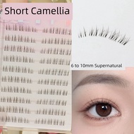 eyelash eyelash extension 9mm Glue-Free Short Camellia False Eyelashes Female Natural Simulation 8 1