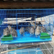 QM🏅Household Quail Cage Egg Laying Quail Cage Breeding Bird Cage Quail Cage Bird Cage Quail Breeding Cage Automatic Egg