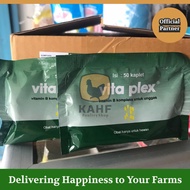 Vita Plex 50 Capsules Vitamin B Complex Poultry Chicken Bird Medion [KAHF PS]