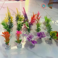 tanaman hiasan Aquarium pohon kelapa 2 pohon
