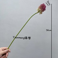 Decorative Dried Flower Bouquet Small Onion Flower Artificial Echinacea Flower Ball Simulation Artwo