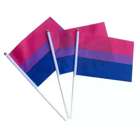 LGBT Pride flag 14x21cm dream smp flag Gay Lesbian Homosexual Bisexual LGBT Pride flag rainbow hand 