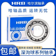 Halbin HRB Bearing 6300 6301 6302 6303 6304 Deep Groove Ball Bearing Electric Vehicle ZZ RZ Z NZVF