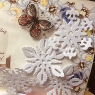 Extract_washi Phalaenopsis flower 1 cycle