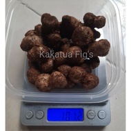 Rimpang Kunyit Hitam Asli 100Gr