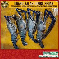 Udang Galah Segar Jumbo Gede Besar Segar/Fresh 1 kg isi 4-8 ekor
