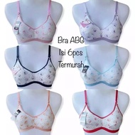 ABG BRA CONTENTS 6 PCS TEENAGE BRA WHOLESALE SUPER ELEMENTARY SCHOOL AND MIDDLE SCHOOL CHILDREN'S BR