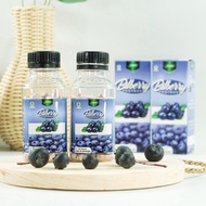 Sehat Mata Katarak Bilberry Ekstrak Wortel 60 Kapsul Vision 21 Obat Herbal Mata Glaukoma Minus Plus