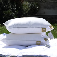 TRIUMPH HILL Hotel Choiceness 100% Down Pillow Core White Goose Down Pillow Core 100% Cotton Help Sl