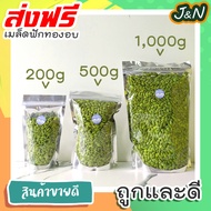 J&N เมล็ดฟักทองอบธรรมชาติ 500 กรัม ถั่วธัญพืชรวม ขนมกินเล่นถูกๆ ขนมกินเล่น อาหารพร้อมทาน ขนมที่ดังใน