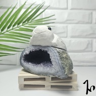 Amethyst Cave Turtle | Crystal Carving | Crystal Turtle | Raw Carving [SG STOCK]