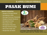 Kapsul PASAK BUMI / TONGKAT ALI isi 100 Kapsul Herbal Curah | Meningkatkan Libido, Menambah Stamina,