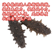 Dry Goods Sea Cucumber Thorn Ginseng Products Wild Deep Fishing Water Salt-Free Sugar 100g Dried Seaf