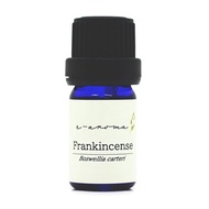Frankincense (Frankincense) 5ml e-aroma essential oil essential oil aroma oil (5ml)