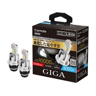 HIDからLEDへ 簡単施工 10000lm 2本セット コンパクト GIGA LEDヘッドバルブ D10 6000K D4S BW904 カーメイト
