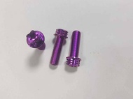 TC4/GR5 M6x10MM-70L Titanium Alloy Flange Head Torx Screw Bolts M6 Motorcycle Titanium Alloy Screw