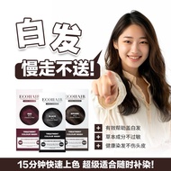 ECOHAIR Treatment Color Wash 15 mins express color (Trial Pack) READY STOCK