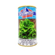 Rushmore Ramgo Seeds Tin Can Lettuce Celery Watermelon50g & 25g