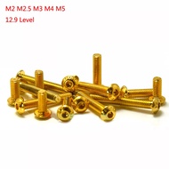 M2-M5 Plating Titanium Half Round Head Hexagon Socket Screw Round Head Screw Mushroom Head Screw Loc