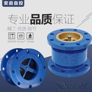HB41X-16C/P Anti-Backflow Cast Steel/Stainless Steel Flange Muffler Check Valve Vertical Check Valve