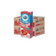 FOREMOST โฟร์โมสต์ โอเมก้า โยเกิร์ตพร้อมดื่ม 170 มล x 48 กล่อง (2 ลัง)(มีให้เลือก 2 รส)