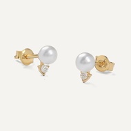 Aurum Lab 9K Gold Earrings - Tamara Pearl