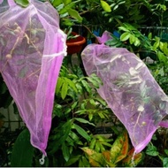 10 PCS Karung Bawang Karung Waring Karung Kelengkeng Brongsong Buah Kelengkeng Besar Pembungkus Buah