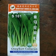 Soon Huat Vegetable seed Choysum Cameron benih sayur sayuran sawi hijau Cameron 金马伦菜心蔬菜种子