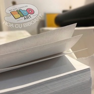 [Art] A2/A3 drawing paper Set (COMFORITION PRACTICE) - [Viet Tri Paper White/Thin/Small Size]
