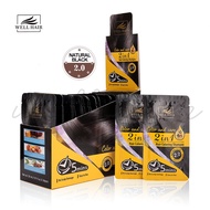 WELL HAIR Color Hair Shampoo Black Colored White Hair Turns To Black Hair Buble Dye WH-R003 30ml