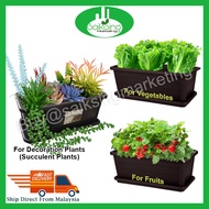 Pasu Panjang Felton Rectangular Planter Box 2239 / Pasu Tanaman Sayuran / Bunga