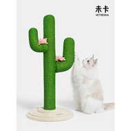 Kaktus Tidak Terperangkap Tahan Calar Tahan Gigitan Rangka Memanjat Kucing Pokok Kucing Kucing Meman