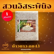 ข้าวขาว กข43 ปลอดสารเคมี แพ็คสูญญากาศ 1 กิโลกรัม ตรา สวนอิสระพินิจ