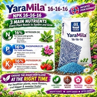 YaraMila 16-16-16 NPK Baja Tanaman Baja Buah Sayur Bunga 100% Original Yara 🌱
