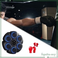 [FigatiaMY] Music Boxing Machine Music Boxing Pad Relaxing Electronic Boxing Wall Target