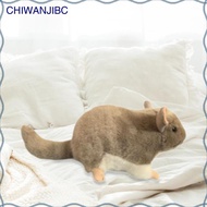 [chiwanjibc] Plush Toys 14.17'' Animal Chinchilla Baby