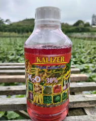 KALIZER 1LT | Pupuk Kalium Cair + GA3 | K2O: 30%