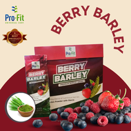 1 Box (15 sachet) Profit Berry Barley - Original Premium Barley Drink. Barley Grass Powder with Stev