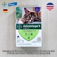 Elanco® Advantage II Flea Prevention Infestation On Cats กำจัดหมัด สำหรับแมว