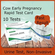10pcs Kit Ujian Kehamilan Lembu | Ujian Pantas Kehamilan Lembu Betina