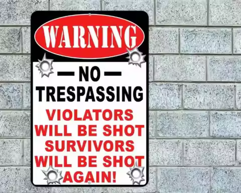 Warning No Trespassing Violators Will Be Shot Sign Aluminum Metal 8x12-Aluminum